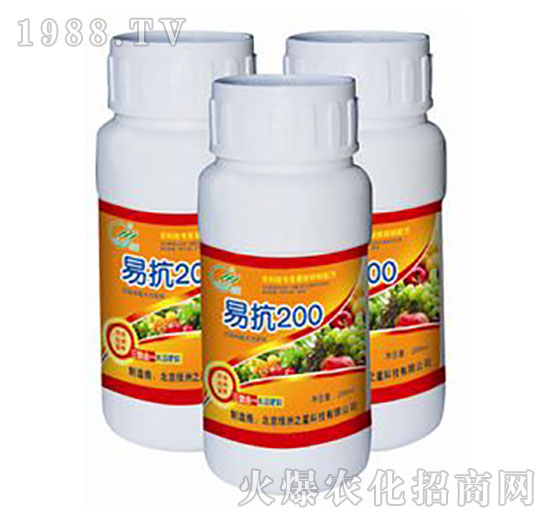 �׿�200-�G��֮��