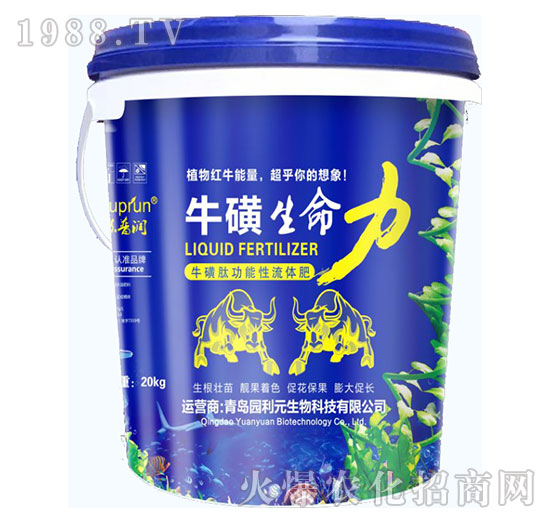 ����������-�@��Ԫ