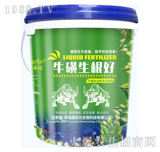 ����������-�@��Ԫ