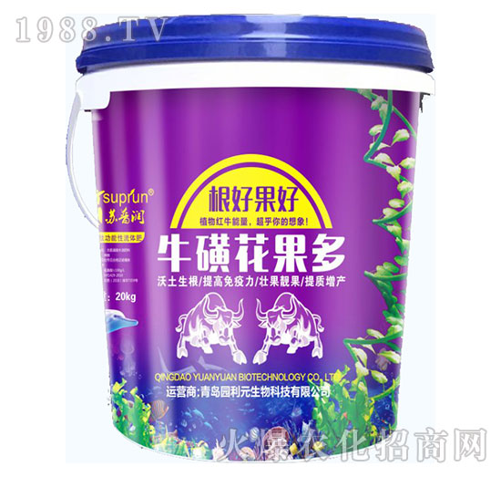 ���ǻ�����-�@��Ԫ