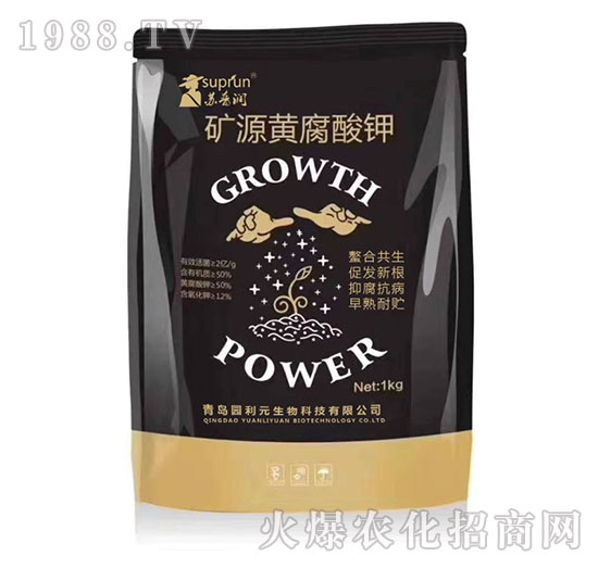 �VԴ�S�����-�@��Ԫ