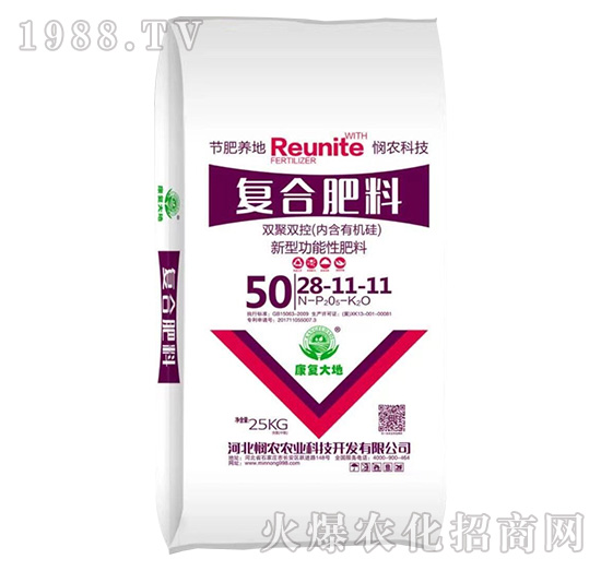 �p���p�؏ͺϷ���28-11-11-���r�r�I(y��)