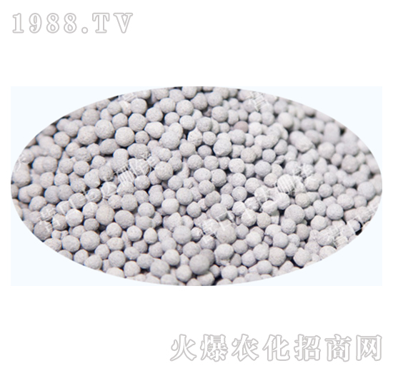 �V���w��-�S�_(d��)��