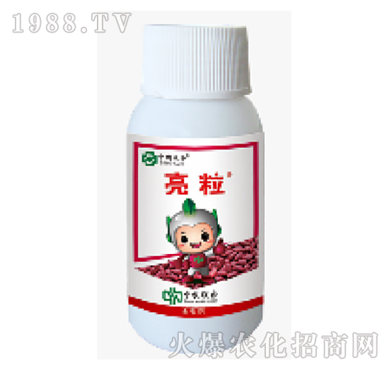 600��ÿ�����x��-����-���r(li��n)��