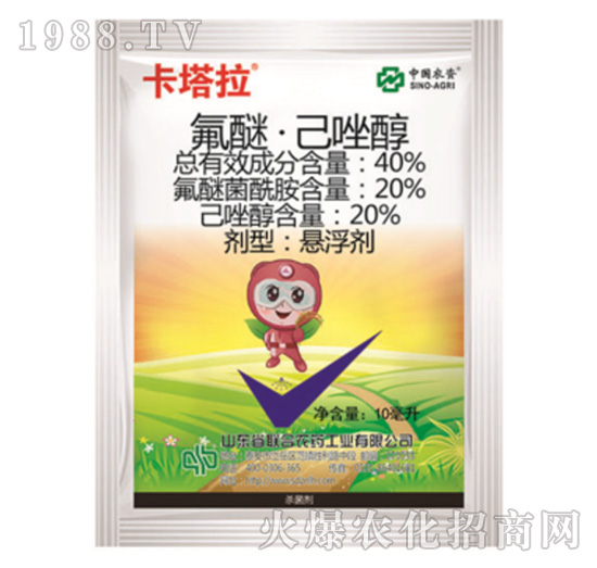 40%���ѡ�����-������-���r(n��ng)(li��n)��