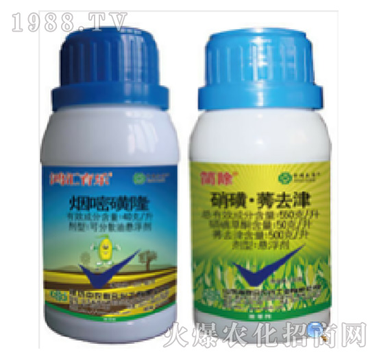 40��ÿ�����׻�¡+550��ÿ�����ǡ��Pȥ��-����-���r(li��n)��