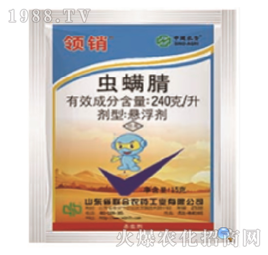 240��ÿ���x(ch��ng)����-�I(l��ng)�N(xi��o)-���r(n��ng)(li��n)��