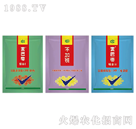 50��ÿ���p���ǲݰ�-���͵�-���r(n��ng)(li��n)��