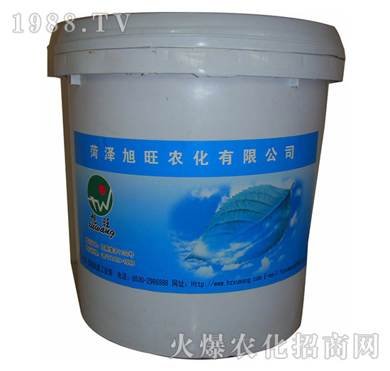 �����Ͳˌ�-�r�ɸ�