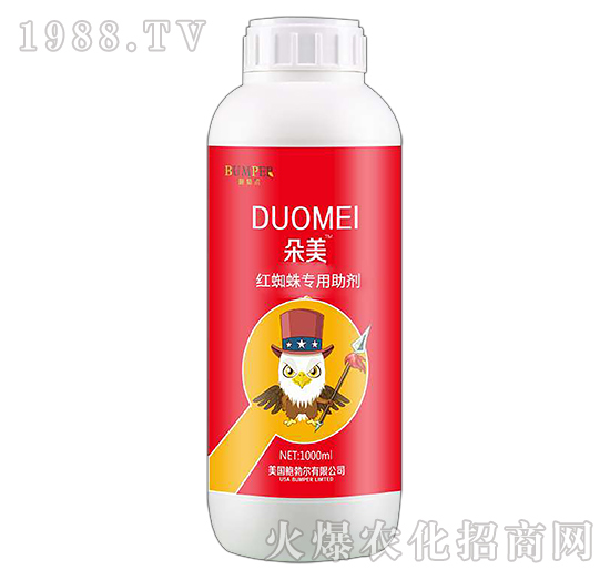 �t֩�댣������-����-���S