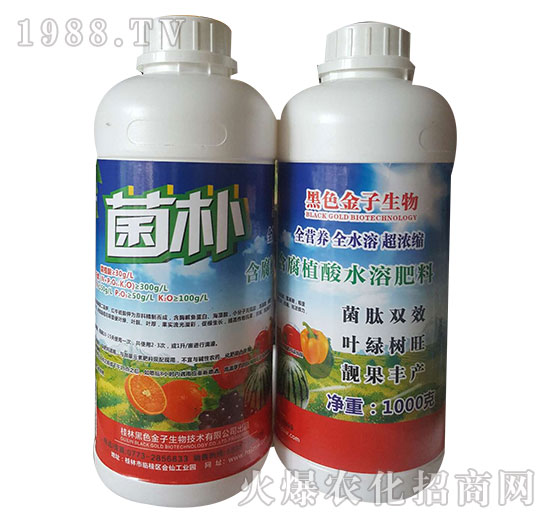 ����ֲ��ˮ�ܷ���-����-��ɫ����