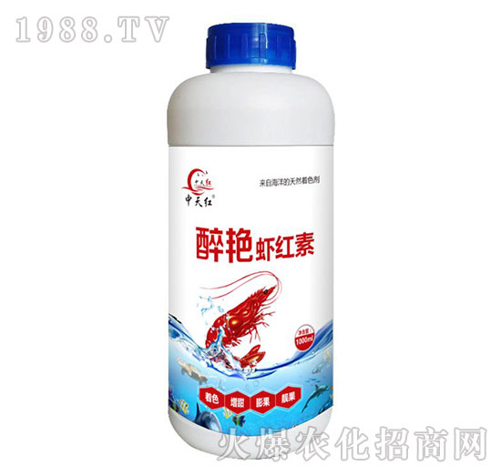 ���G�r�t��-����t