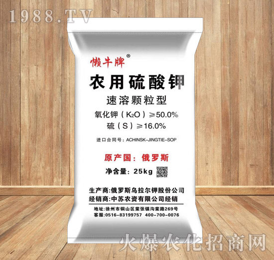 �����w���͑�ţ�����-���K�r(n��ng)�Y