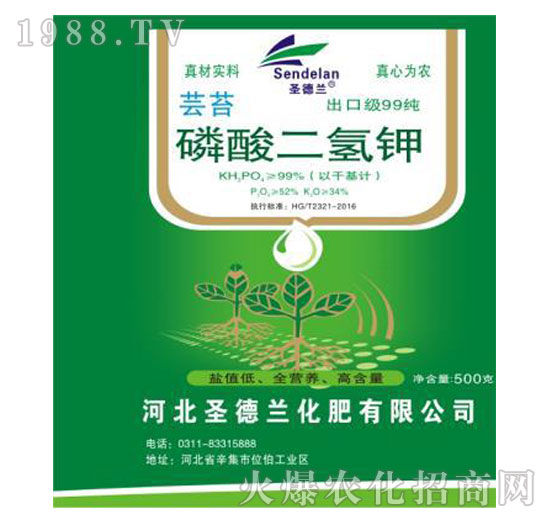 ��������-ʥ���m