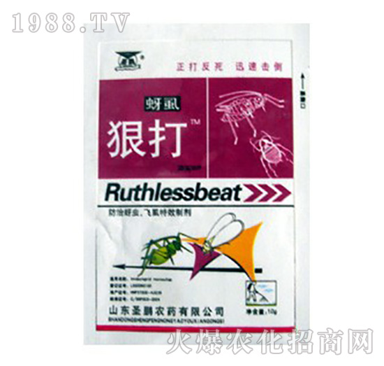 �������x(ch��ng)�wʭ�����Ƅ�-��ʭ�ݴ�-ʥ�i