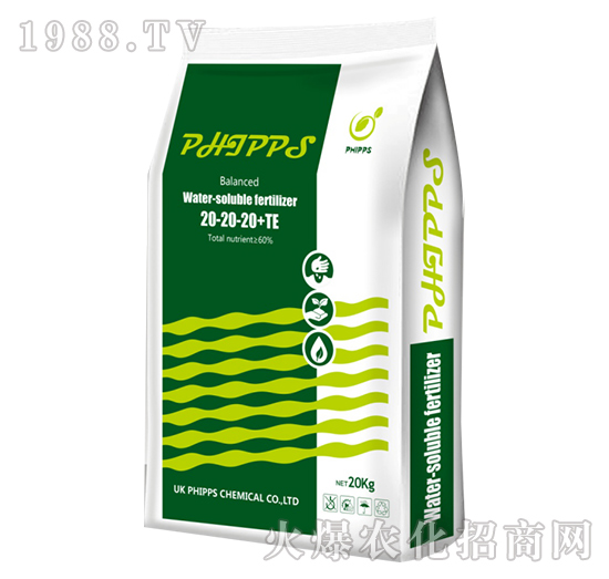 Ӣ���M(j��n)�ڷ�����˹ƽ���-���r(n��ng)�S