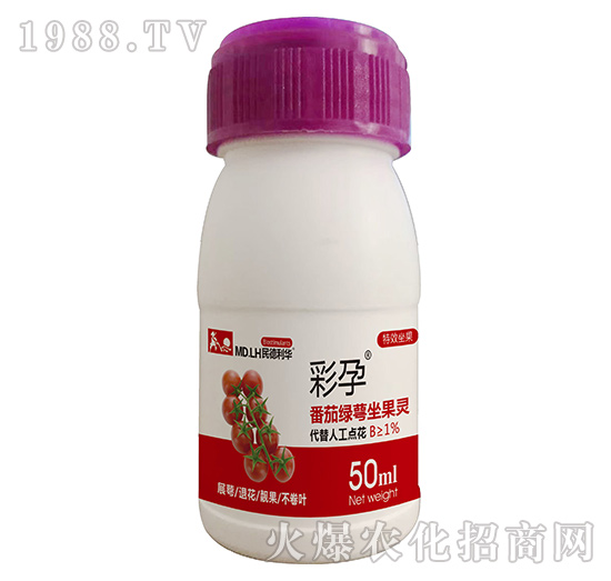 ���ѾG�������`-����-������A