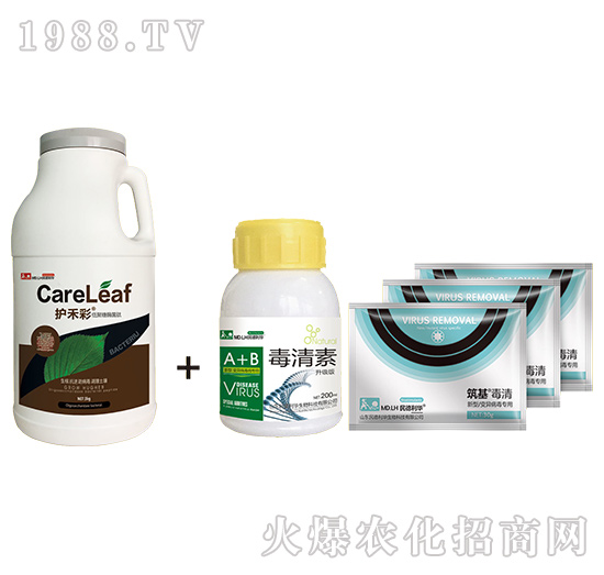 �o(h��)�̲�+����M��-���������η���-������A