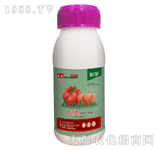 �G���L(zh��ng)����-��֮��-����-������A