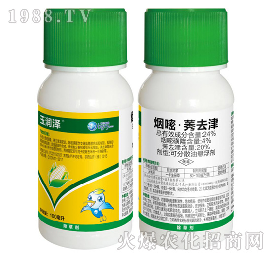 24%���ס�ݬȥ��-��(r��n)��-��������