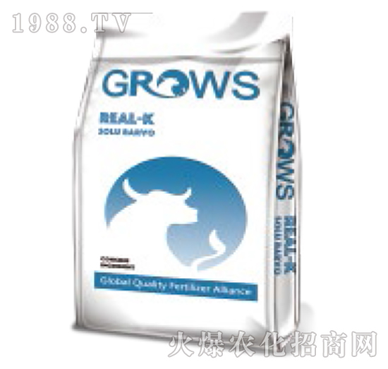 ��������-���_ʩ-��ʢ����