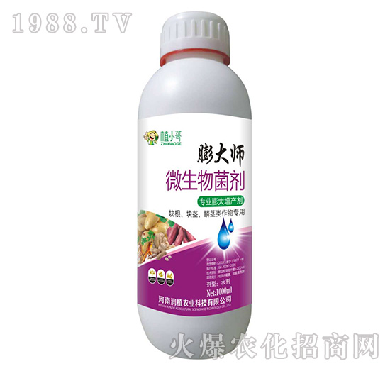 ΢�������-���-��(r��n)ֲ