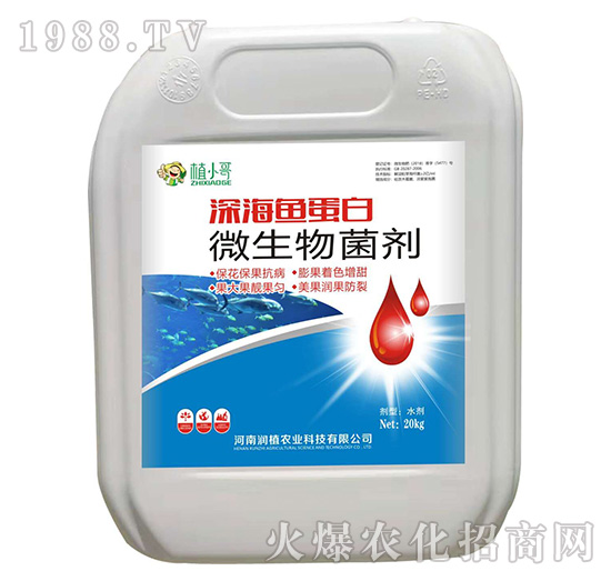 ΢�������-��~����-��(r��n)ֲ