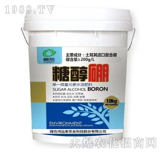 �Ǵ���-�A̩-���\��