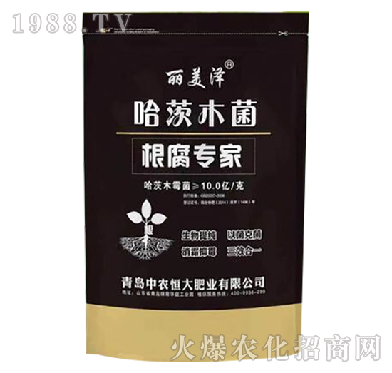 ������(zhu��n)��-����ľ��-���r(n��ng)���