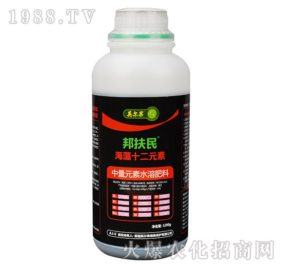 ����ʮ��Ԫ��-�����-Ӣ����