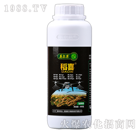 �w������-��ϲ-Ӣ����