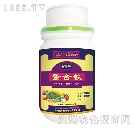 200ml�����F-�t��