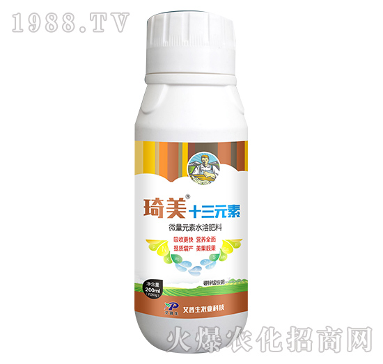 ����ʮ��Ԫ��-������