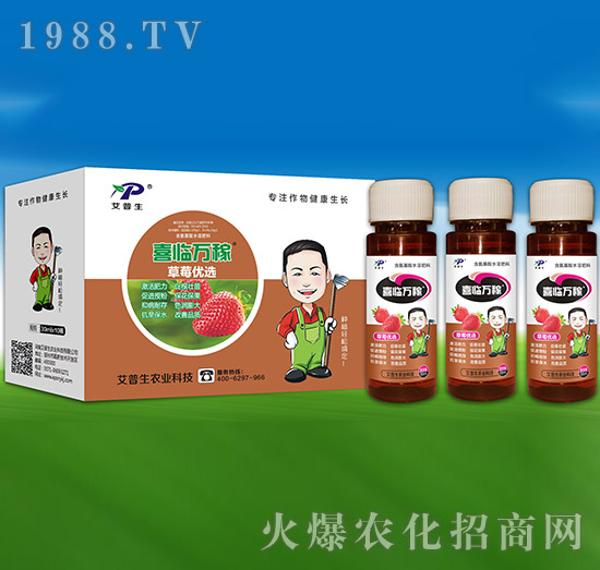 ��ݮ��(y��u)�x-ϲ�R�f(w��n)��-������