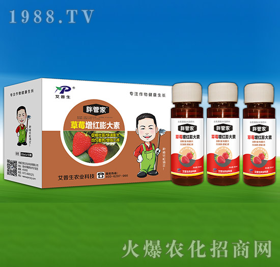 ��ݮ���t�����-�ֹܼ�-������