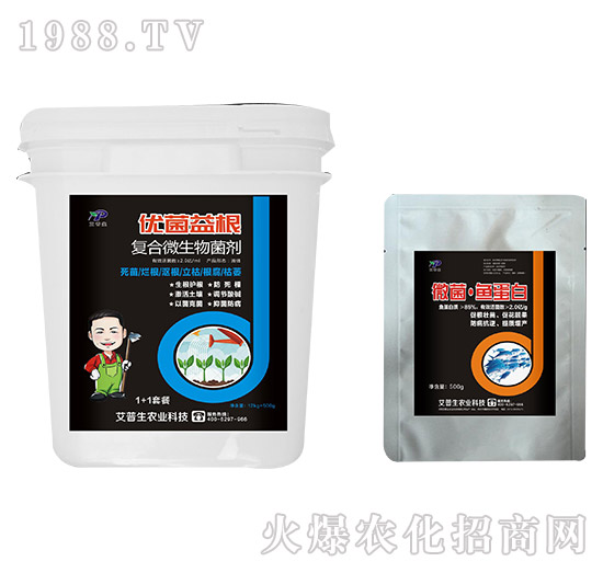 ��(f��)��΢�������-��(y��u)�����+΢���~(y��)����-������