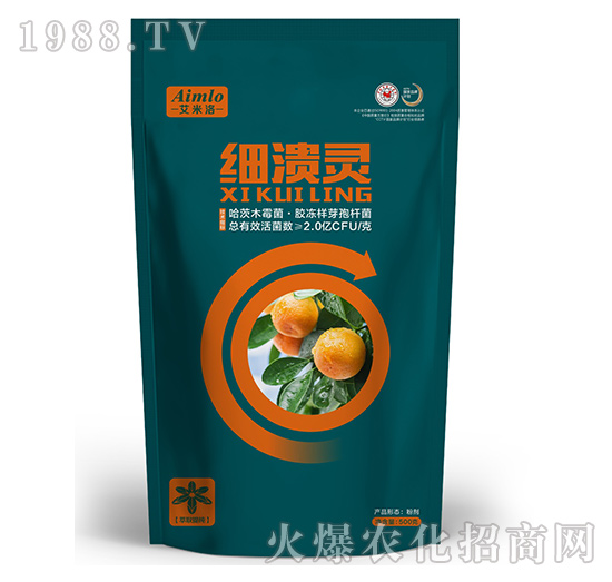 ϲ���`-������