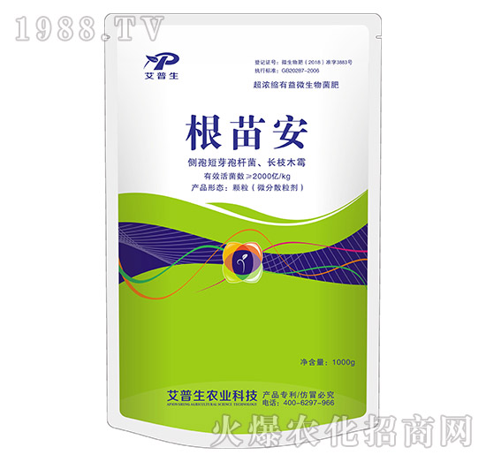 ���簲-������