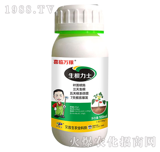 ������ʿ-ϲ�R�f(w��n)��-������