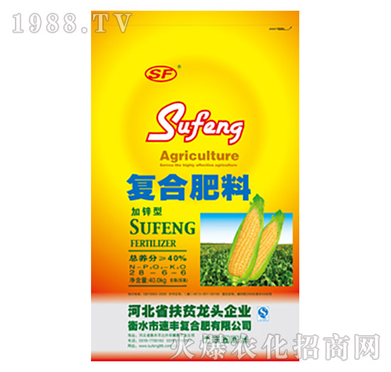 ���\�͏�(f��)�Ϸ���28-6-6-���S