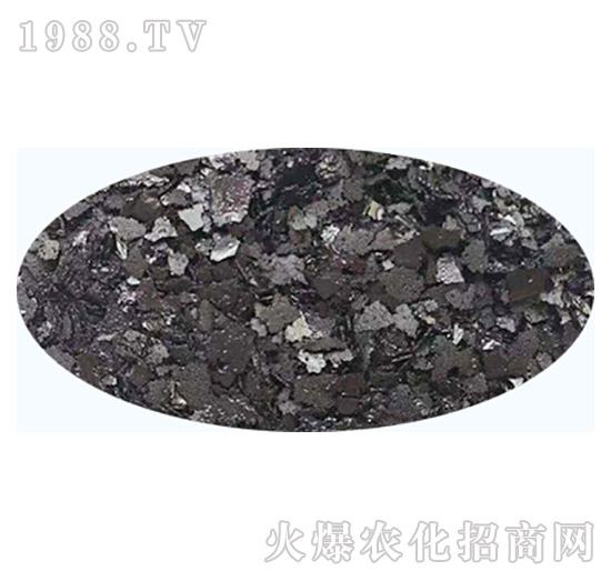 ��ɫƬ��徫-��ʢ����