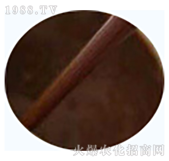 Һ�w�~����-��ʢ����