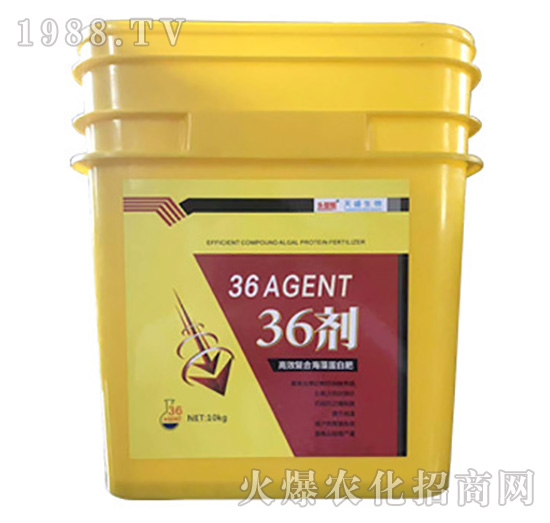 36��-��ʢ����