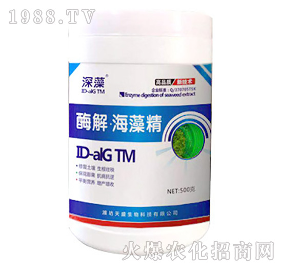 ø�⡤���徫-��ʢ����