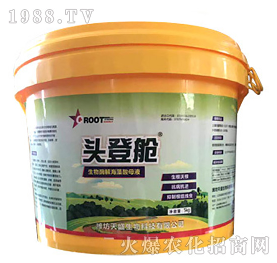 ����ø�⺣����ĸҺ-�^��œ-��ʢ����