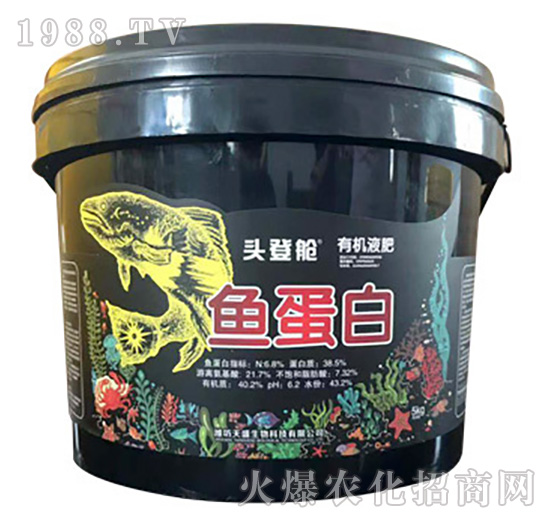 �~(y��)����-��ʢ����