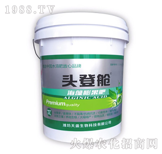 ���������-�^��œ-��ʢ����