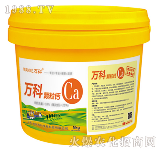 �w���}-�f��