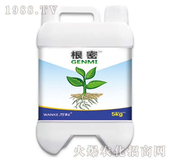 ����-�f(w��n)��