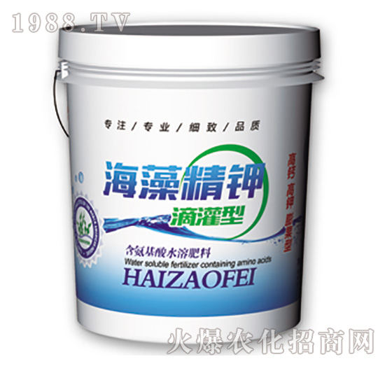 ���徫⛵ι��-�f��